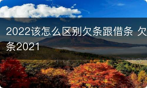 2022该怎么区别欠条跟借条 欠条2021