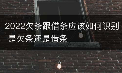 2022欠条跟借条应该如何识别 是欠条还是借条