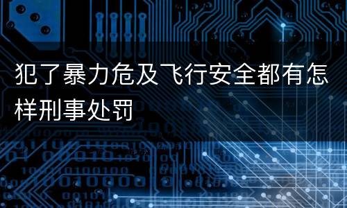 犯了暴力危及飞行安全都有怎样刑事处罚