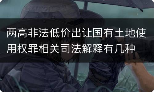 两高非法低价出让国有土地使用权罪相关司法解释有几种