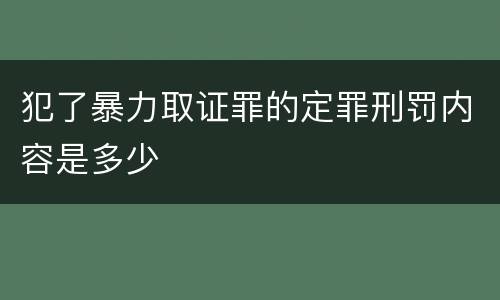 犯了暴力取证罪的定罪刑罚内容是多少