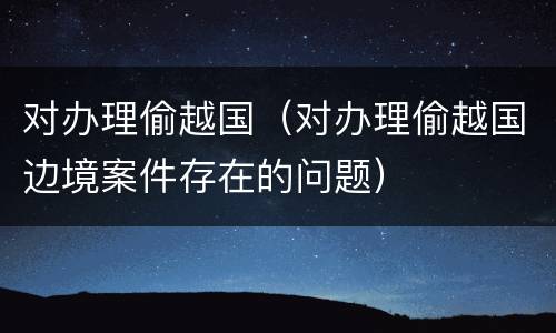 对办理偷越国（对办理偷越国边境案件存在的问题）