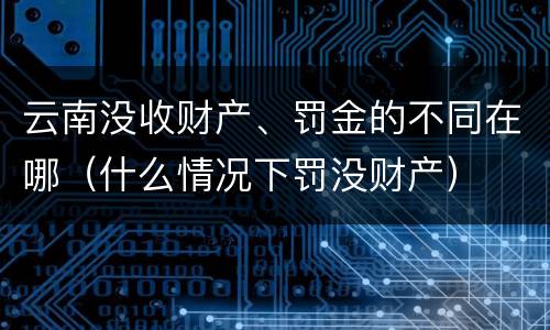 云南没收财产、罚金的不同在哪（什么情况下罚没财产）