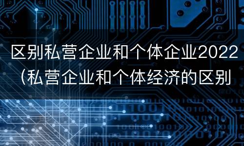 区别私营企业和个体企业2022（私营企业和个体经济的区别）