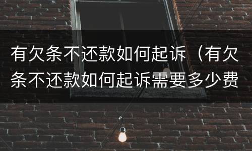 有欠条不还款如何起诉（有欠条不还款如何起诉需要多少费用）
