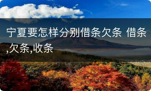 宁夏要怎样分别借条欠条 借条,欠条,收条