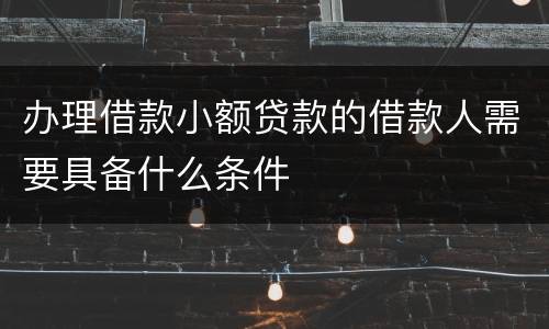 办理借款小额贷款的借款人需要具备什么条件