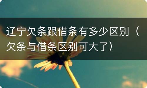 辽宁欠条跟借条有多少区别（欠条与借条区别可大了）