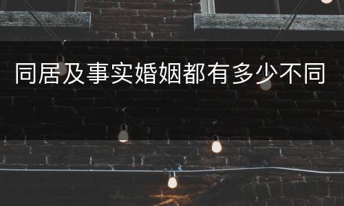 同居及事实婚姻都有多少不同