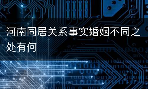 河南同居关系事实婚姻不同之处有何
