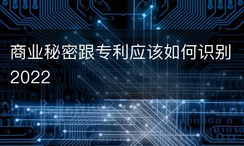 商业秘密跟专利应该如何识别2022