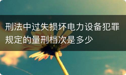 刑法中过失损坏电力设备犯罪规定的量刑档次是多少