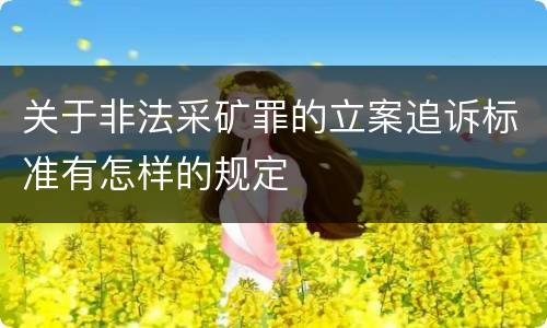 关于非法采矿罪的立案追诉标准有怎样的规定