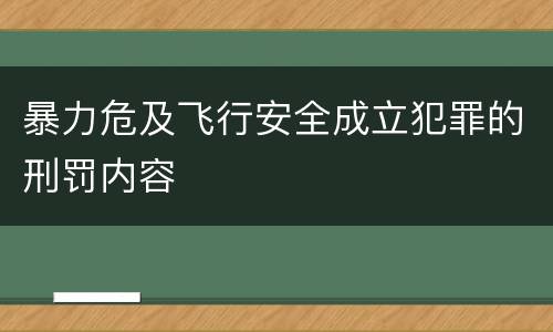 暴力危及飞行安全成立犯罪的刑罚内容
