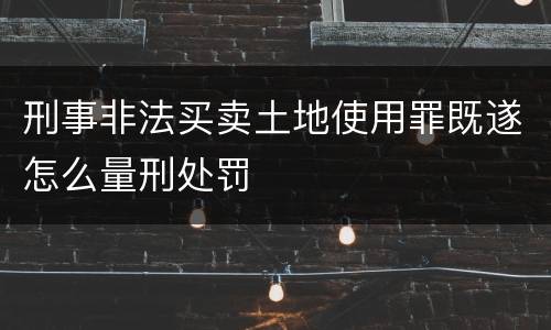 刑事非法买卖土地使用罪既遂怎么量刑处罚