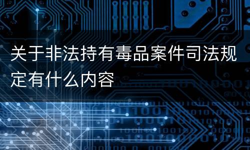 关于非法持有毒品案件司法规定有什么内容