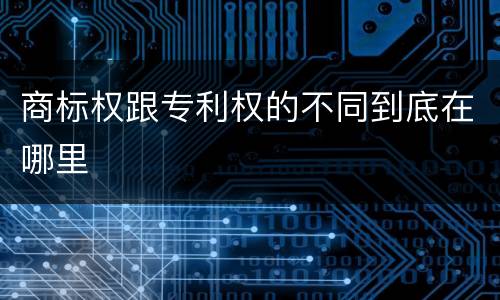 商标权跟专利权的不同到底在哪里
