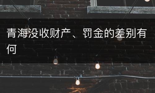 青海没收财产、罚金的差别有何