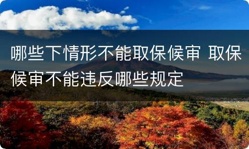 哪些下情形不能取保候审 取保候审不能违反哪些规定