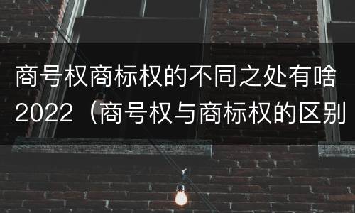 商号权商标权的不同之处有啥2022（商号权与商标权的区别）