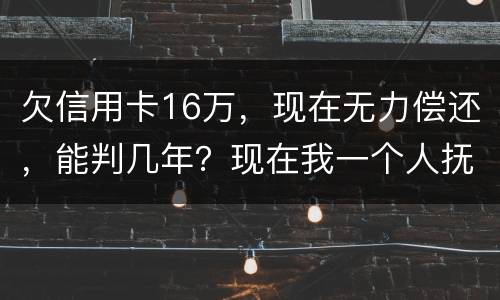 欠信用卡16万，现在无力偿还，能判几年？现在我一个人抚养孩子，判刑后孩子怎么办