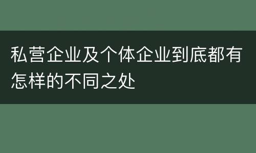私营企业及个体企业到底都有怎样的不同之处