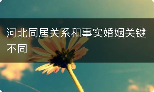 河北同居关系和事实婚姻关键不同