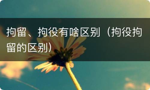 拘留、拘役有啥区别（拘役拘留的区别）