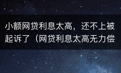 小额网贷利息太高，还不上被起诉了（网贷利息太高无力偿还）