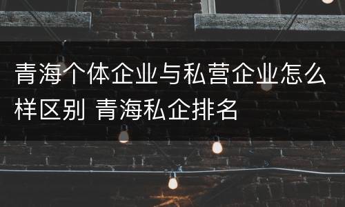 青海个体企业与私营企业怎么样区别 青海私企排名
