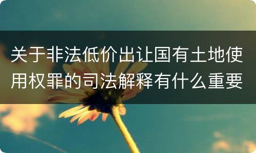 关于非法低价出让国有土地使用权罪的司法解释有什么重要规定