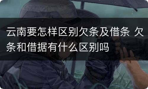 云南要怎样区别欠条及借条 欠条和借据有什么区别吗