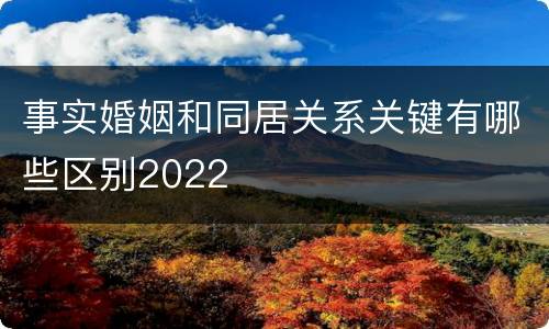 事实婚姻和同居关系关键有哪些区别2022