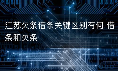 江苏欠条借条关键区别有何 借条和欠条