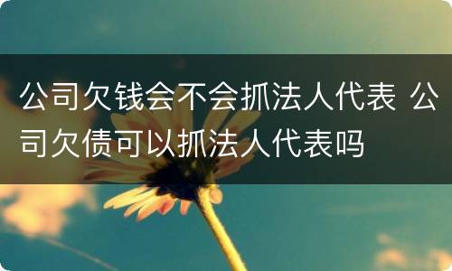 公司欠钱会不会抓法人代表 公司欠债可以抓法人代表吗