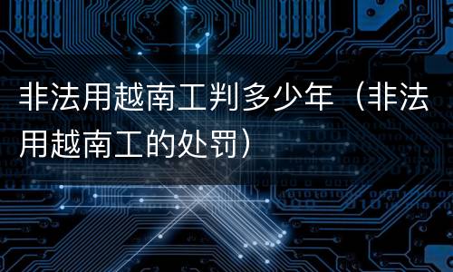 非法用越南工判多少年（非法用越南工的处罚）