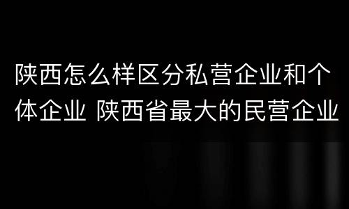 陕西怎么样区分私营企业和个体企业 陕西省最大的民营企业是什么公司