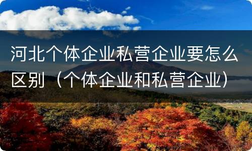 河北个体企业私营企业要怎么区别（个体企业和私营企业）