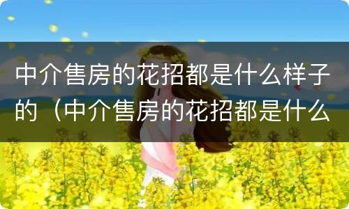 中介售房的花招都是什么样子的（中介售房的花招都是什么样子的啊）