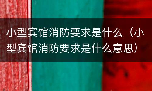 小型宾馆消防要求是什么（小型宾馆消防要求是什么意思）