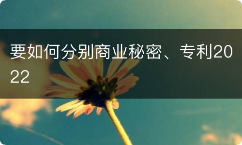 要如何分别商业秘密、专利2022