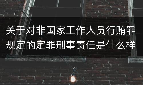 关于对非国家工作人员行贿罪规定的定罪刑事责任是什么样的