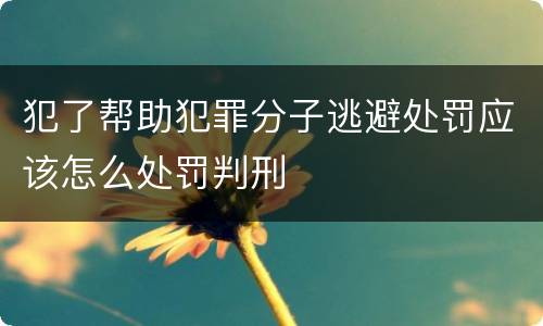 犯了帮助犯罪分子逃避处罚应该怎么处罚判刑