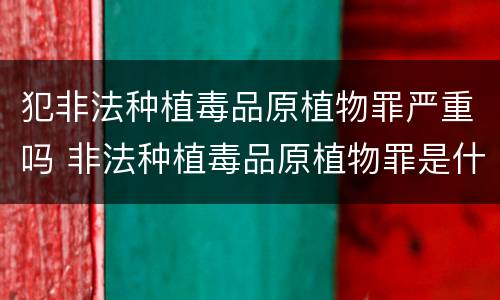 犯非法种植毒品原植物罪严重吗 非法种植毒品原植物罪是什么犯罪类型