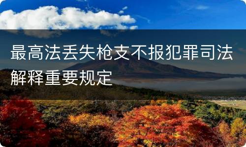 最高法丢失枪支不报犯罪司法解释重要规定