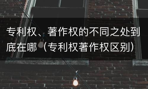 专利权、著作权的不同之处到底在哪（专利权著作权区别）