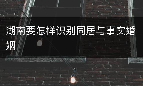 湖南要怎样识别同居与事实婚姻