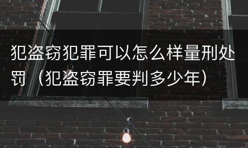 犯盗窃犯罪可以怎么样量刑处罚（犯盗窃罪要判多少年）