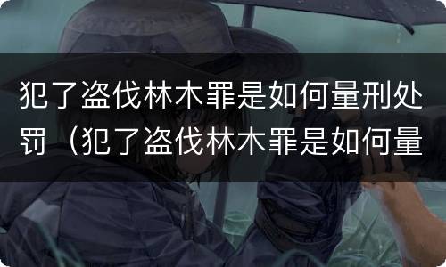 犯了盗伐林木罪是如何量刑处罚（犯了盗伐林木罪是如何量刑处罚的）