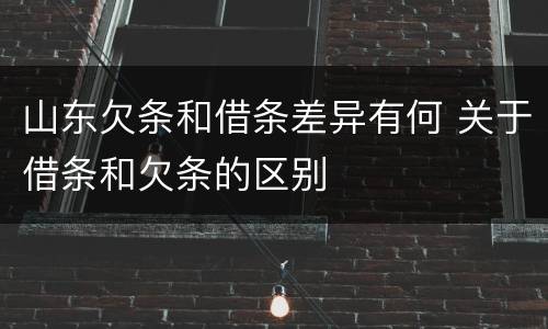 山东欠条和借条差异有何 关于借条和欠条的区别
